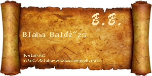 Blaha Balázs névjegykártya